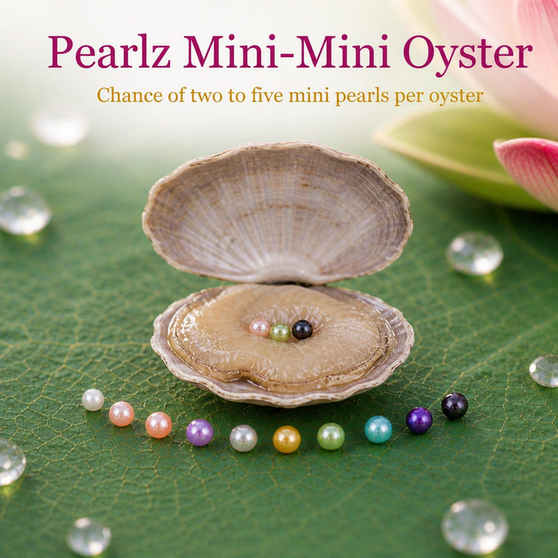 Pearlz Mini-Mini Oyster