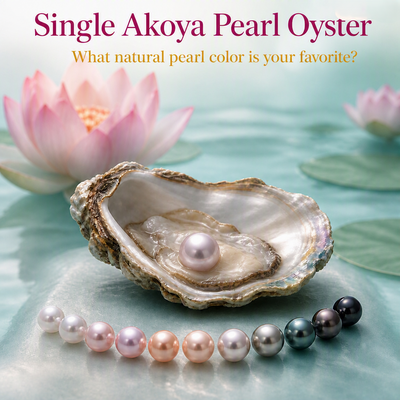Single Akoya Pearl Oyster