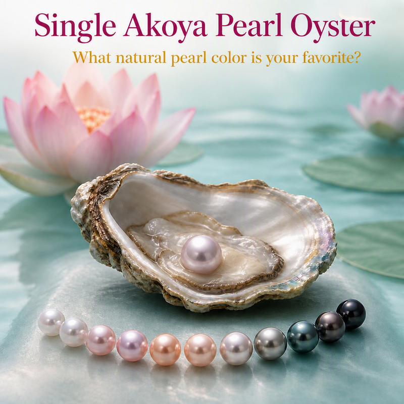 Single Akoya Pearl Oyster
