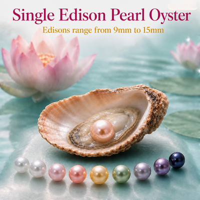 Single Edison Pearl Oyster