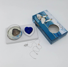 Wish Pearl Reveal Necklace Gift Set – Freshwater Pearl in Sealed Oyster